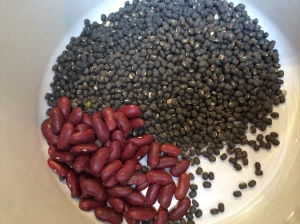 Mix of black gram and red kidney beans